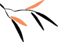Graphic-1-s